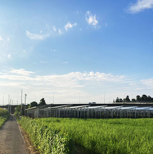 Hệ thống gắn trên đất trồng trọt quang điện ở Nhật Bản-1MW